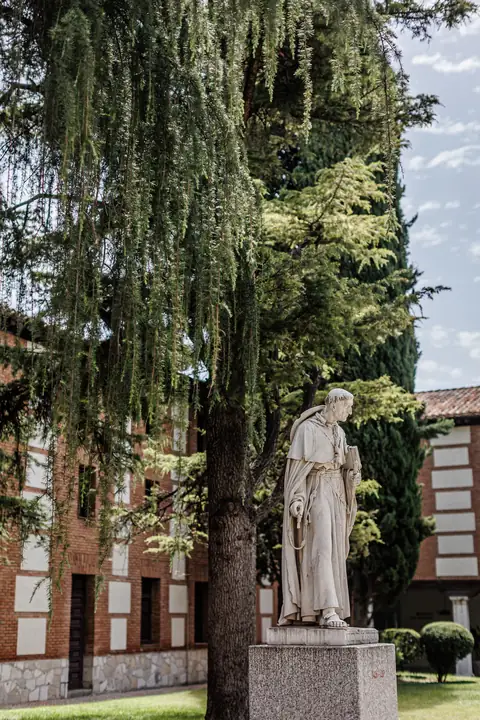 Estatua de mármol de un religioso franciscano bajo un cedro llorón en un patio de la Residencia San Ildefonso